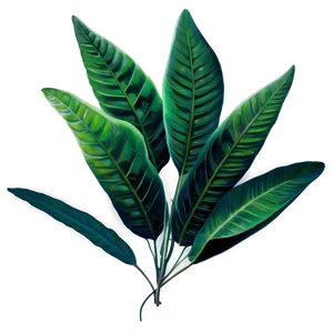 Leaves A