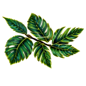 Leaves C