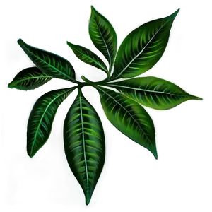 Leaves D
