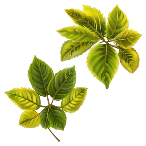 Leaves Descending PNG 06132024 PNG