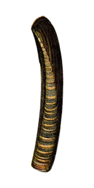 Leechin Darkness