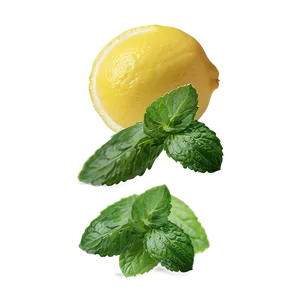 Lemon And Mint PNG 71 PNG