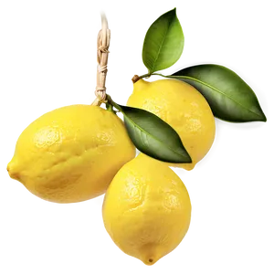 Lemon Collection PNG 05042024 PNG