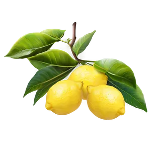 Lemon Farm Png Auh PNG image