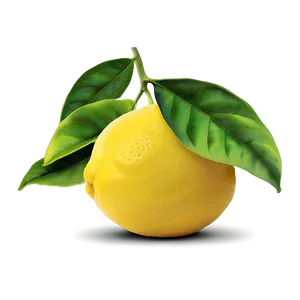 Lemon Field PNG 18 PNG