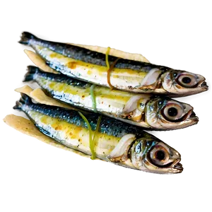 Lemon Garlic Sardines Png 55 PNG image