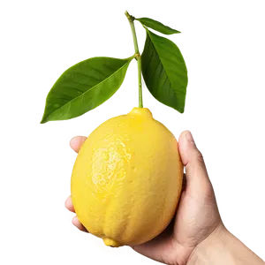 Lemon In Hand PNG Gmi23