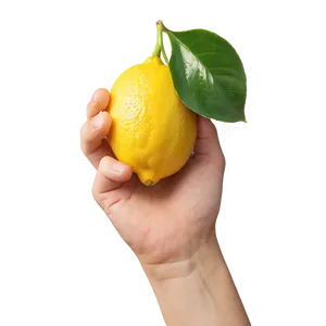 Lemon In Hand PNG Gnh77 PNG