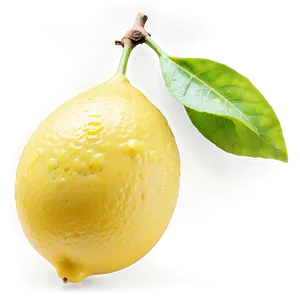 Lemon On Branch PNG 90