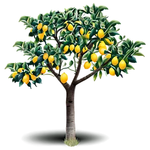 Lemon Orchard Tree Design Png 17 PNG image