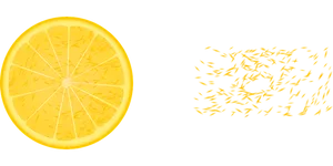 Lemon Sliceand Reflection