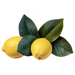 Lemon Tea Ingredient PNG 68