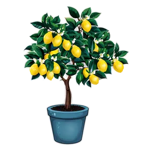 Lemon Tree In Pot Illustration Png 31 PNG image