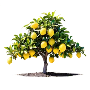 Lemon Tree On Hill PNG 06212024