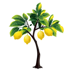 Lemon Tree Silhouette Png 69 PNG image