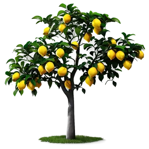 Lemon Tree Sunset Background Png Epg56 PNG image