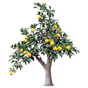 Lemon Tree With Birds Png 06212024 PNG image