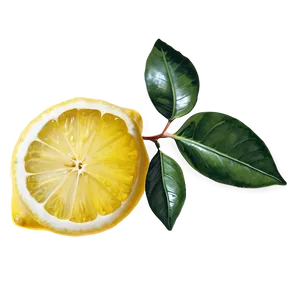 Lemon With Leaf PNG Tih