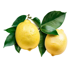 Lemons Wallpaper PNG Lnv PNG