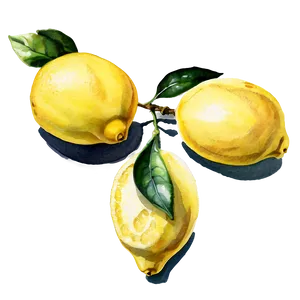 Lemons Watercolor PNG Ssg29 PNG