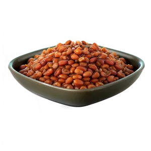 Lentil Baked Beans PNG 06272024