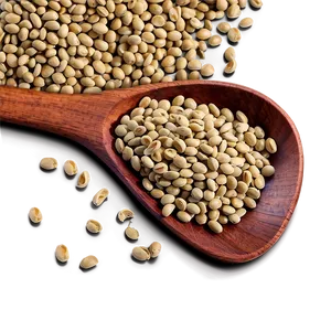 Lentils Beans Png 37 PNG image
