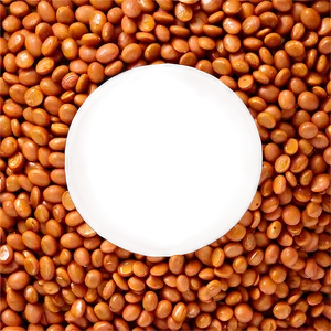 Lentils Beans Png Soi PNG image