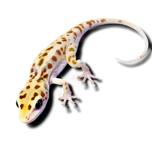 Leopard Gecko Climbing Png 06202024 PNG image