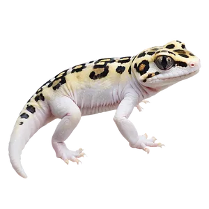 Leopard Gecko In Grass PNG 06202024