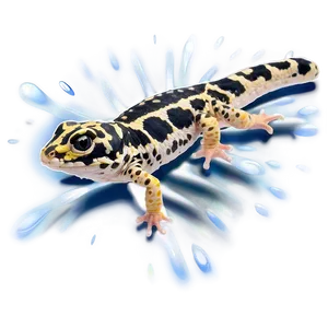 Leopard Gecko In Water PNG 06202024