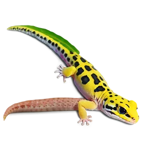 Leopard Gecko On Leaf Png 06202024 PNG image