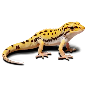 Leopard Gecko Png 52 PNG image