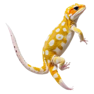 Leopard Gecko Side View Png Xjf PNG image