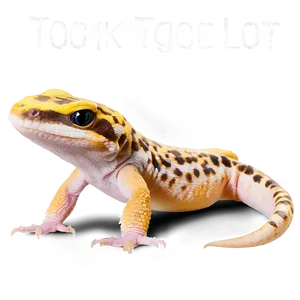 Leopard Gecko Tongue Out PNG Psw