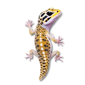 Leopard Gecko Tongue Out Png Tsh PNG image