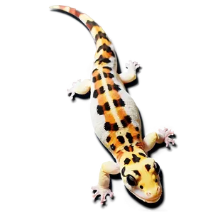 Leopard Gecko Tongue Out PNG Xcl21