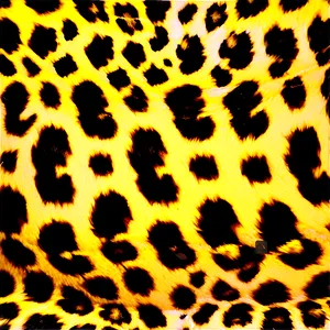 Leopard Print Bikini Top PNG Pgd PNG