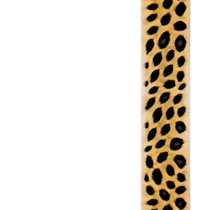 Leopard Print Border Png 05212024 PNG image