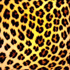 Leopard Print Border Png 06272024 PNG image