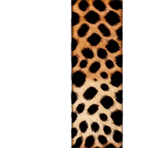 Leopard Print Border Png 06272024 PNG image