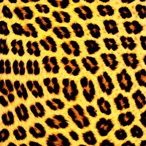 Leopard Print Border Png 64 PNG image