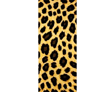 Leopard Print Border Png Biy PNG image