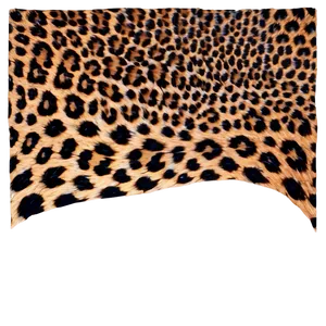 Leopard Print Clipart PNG 05212024 PNG