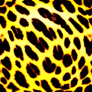 Leopard Print Icon PNG Dju10 PNG
