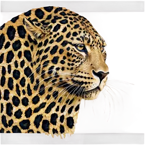 Leopard Print Illustration Png 05212024 PNG image