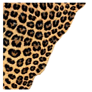 Leopard Print PNG Cgo32 PNG