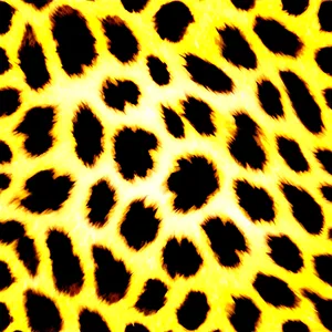 Leopard Print PNG Oad60 PNG