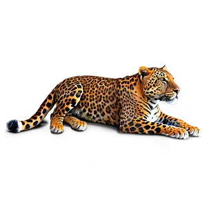 Leopard Print Set Png 05212024 PNG image