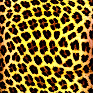 Leopard Print Swatch PNG Mjq28 PNG