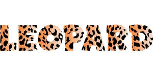 Leopard Print Text Design PNG image